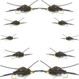 Basics Collection - Kaufmann's Tungsten Black Stonefly Kit 10 Flies #4-12