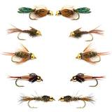 Basics Collection - Bead Head Nymph Assortment - 10 Flies Sizes 12-16