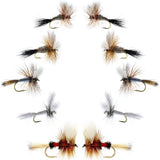 Basics Collection - Wulff Fly Assortment - 10 Flies - 5 Patterns - Sizes 10-14