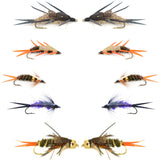 Basics Collection - Double Bead  Nymph Assortment - 10 Flies - Size 10