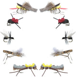 Basics Collection - Terrestrials Fly Assortment - 10 Flies - Sizes 10-14