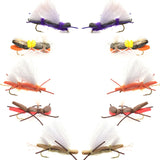Basics Collection - Chernobyl Ant Hopper Fly Assortment - 10 Flies Size 10