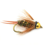 Basics Collection - Bead Head Nymph Assortment - 10 Flies Sizes 12-16