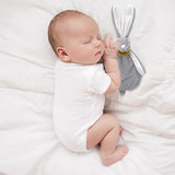 Babyjem Baby Plush Toy - Soft Toy for Infants with Attractive Colors and Soothing Sounds for Sensory Development