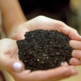 Black Seed Oil - Acne Fighting & Clear Skin