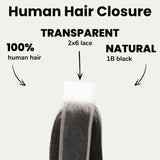 Brazilian Body Wave 2x6 Transparent Lace Human Hair Closure