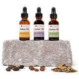 Travel Kits – 4 Travel Rituals for Face & Hair