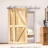 Classic Double Bypass 2 Door Barn Door Kit | Brushed Nickel Hardware