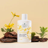 Otaci Botanics+ Volumizing Keratin Shampoo 375 ml