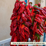 L'Oro Del Sud, Calabrian Chili Powder, Hot Chili Pepper Powder, 2.11 oz (60 g)