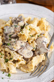 Sourdough Pasta -Campanelle from Fermentelli - 2 pack