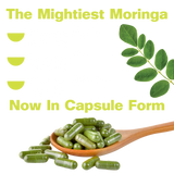 Organic Pure Moringa Powder Capsules (60-Count)
