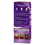 Palette Hair Dye - Vibrant, Nourishing, and Long-Lasting Color for Intense Shine