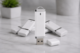DE Style USB 2.0 Flash Drive Unprinted