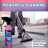 Steamer Lane Carpet & Upholstery Cleaner (16 Fl oz)