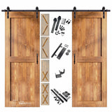 Classic Double Barn Door Kit | Black Hardware