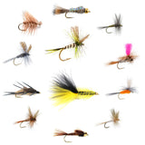 Eastern Trout Fly Assortment - 12 Essential Trout Flies Collection