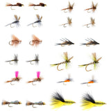 Eastern Trout Fly Assortment - 24 Essential Trout Flies Collection
