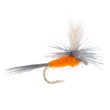 Eastern Trout Fly Assortment - 24 Essential Trout Flies Collection