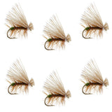 Olive Elk Hair Caddis Classic Trout Dry Fly - Set of 6 Flies Size 16