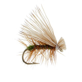 Olive Elk Hair Caddis Classic Trout Dry Fly - Set of 12 Flies Size 14