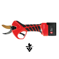 Felco 834V Precision Vineyard Cutting F-834V