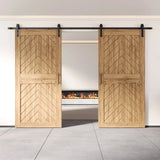 Fishbone Double Barn Door Kit | Black Hardware