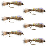 Classic Weighted Flashback Gold Ribbed Hares Ear Nymph - Set of 6 Flies - Size 16