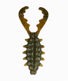 Bio Craw - Soft Plastic Craw Bait for Bass Fishing