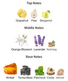 Cognac Haze Pour Homme by Camille Rochelle