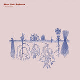 A New Kind Of Love (Transparent Clear Red Vinyl, Indie Exclusive) [Vinyl]