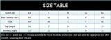 ZTVitality Zebra Print Push Up Bikini Sexy Bikinis 2021 New Arrival Padded Bra Low Waist Swimsuit Female Swimwear Women Biquini