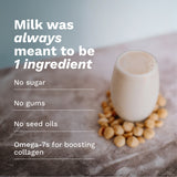 100% Macadamia Milk (12 Packs)