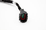 SPDZ1 RB25DET Series 2 Coil Pack Harness - OEM SERIES