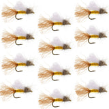 Amber Iris Caddis Emerger Caddis  Trout Dry Fly - 12 Flies Hook Size 16