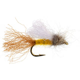 Amber Iris Caddis Emerger Caddis  Trout Dry Fly - 12 Flies Hook Size 14