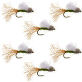 Olive Iris Caddis Emerger Caddis  Trout Dry Fly - 6 Flies Hook Size 14