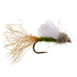 3 Pack Olive Iris Caddis Emerger Caddis  Trout Dry Fly - Hook Size 16
