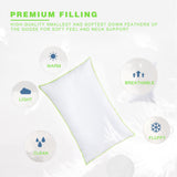 Kasentex Cotton Bed Pillow - Comfort Sleeping Pillow, White
