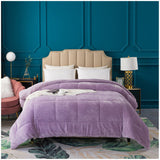 Kasentex Reversible All-Season Plush Comforter Set Twin/Queen/King - Warm Plush Bedding for Winter