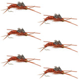 Tungsten Bead Kaufmann's Brown Stone Fly with Rubber Legs - Stonefly Wet Fly - 6 Flies Hook Size 10