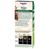 Palette Natural Hair Dye - Gece Mavisi (Night Blue) Permanent Hair Color with Natural Ingredients