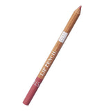 Astra Pure Beauty Lip Pencil 04 for Precise Definition