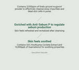 ANUA Heartleaf Quercetinol Pore Deep Cleansing Foam