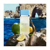 Light Blue By Dolce & Gabbana For Women 6.7 oz EDT Spray