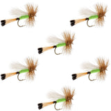 Lime Trude Classic Hair Wing Dry Fly - 6 Flies Hook Size 14