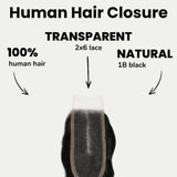Loose Wave 2x6 Transparent Lace Human Hair Closure