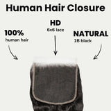 Loose Wave 6x6 HD Lace Human Hair Closure