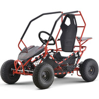 36V 1.0 kW Lead Acid Go Kart