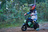 24V 250 Watt Mini Bike